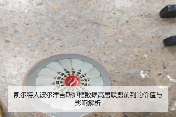 凯尔特人波尔津吉斯护框数据高居联盟前列的价值与影响解析
